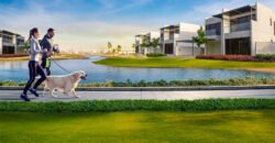 DAMAC Hills 2 in Dubai